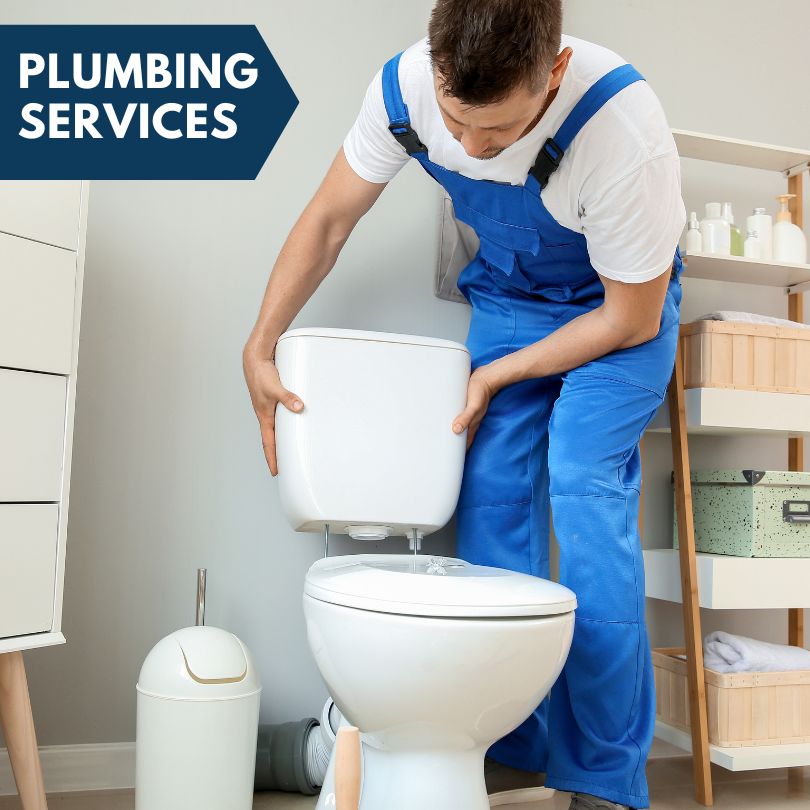 Plumbing Company in Willowbrook, IL